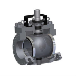 Top Entry Ball Valves-McCANNA