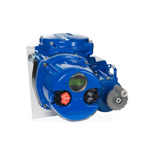 Non-Intrusive Quarter-Turn Actuators-QX