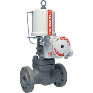 Linear Globe/Angle Control Valves-Mark One