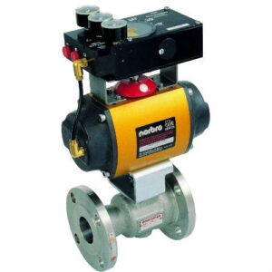 Floating Ball Valves-CPT