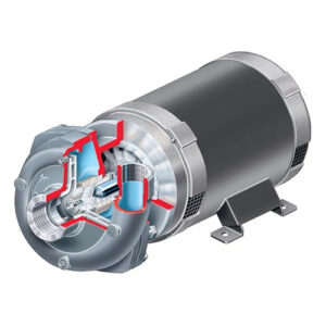Flowserve SMP Industrial Process Pump