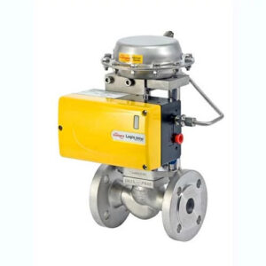 Linear Globe/Angle Control Valves-SmallFlow