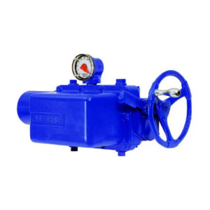 Intrusive Multi-Turn Actuators-SMB