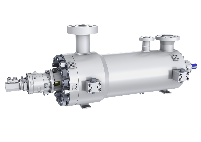 GSG-BFP diffuser style barrel pump for feedwater applications